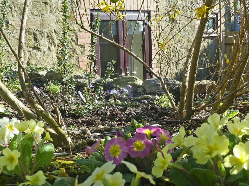Pretty spring flowers | Red Kite Cottage, Maesymeillion, near New Quay
