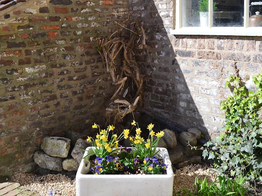 Delightful old sink used as a planter in the garden | Nell’s Cottage, Bridlington