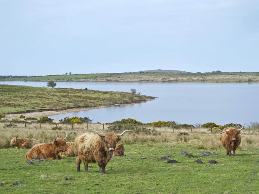 Colliford Lake | Bodmin Moor, Cornwall