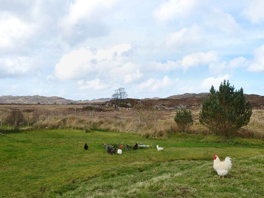 Beautiful open countryside  | Riverview Cottage, Acharacle
