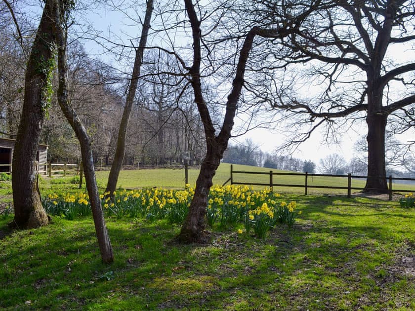 Outstanding 50-acre grounds with woodland and farmland | Horncombe Stables, Ardingly, near Haywards Heath