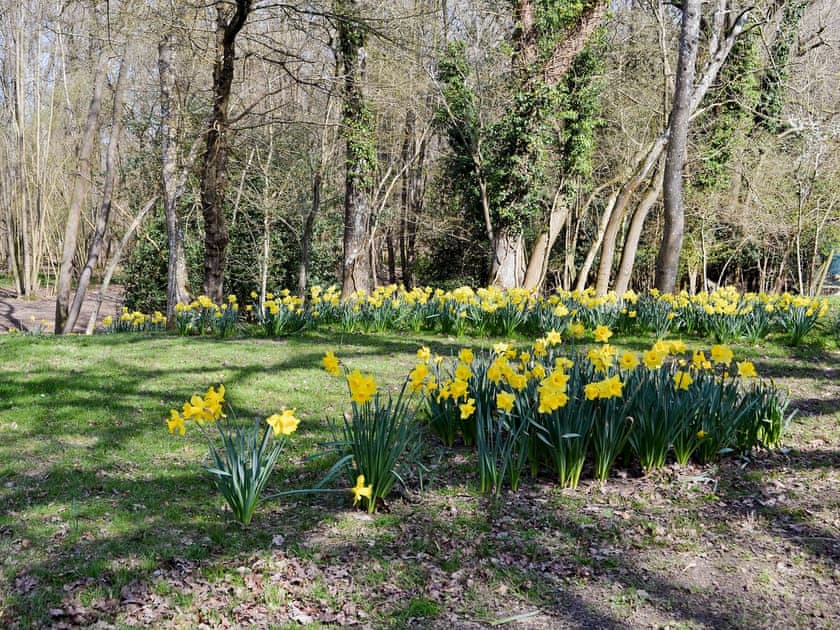 Outstanding 50-acre grounds with woodland and farmland | Horncombe Stables, Ardingly, near Haywards Heath