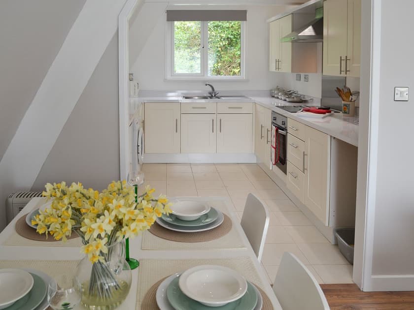 Open plan living space | Hives - At Berridon Lodges, Bradworthy, near Holsworthy