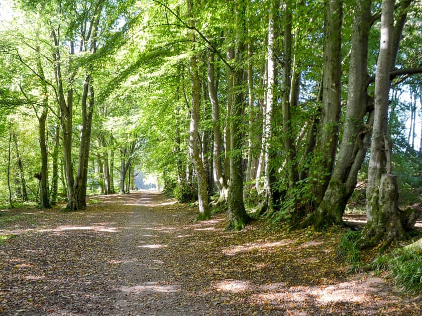 Lady Mary’s Walk