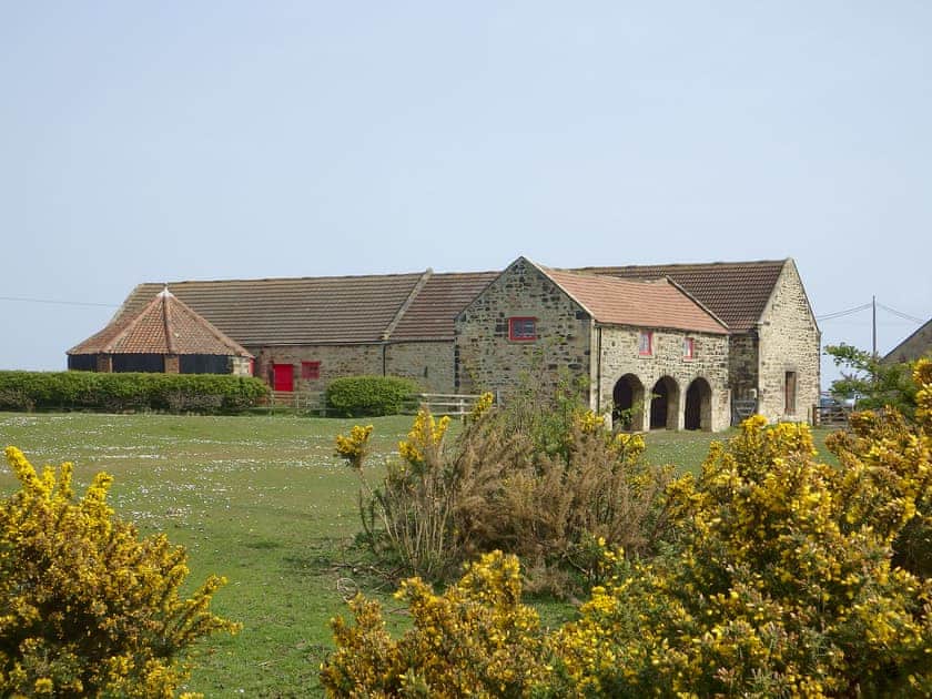 Set on a quiet arable farm with a resident herd of Welsh mountain ponies | Brier Dene End Cottage - Brier Dene Farm Cottages, Old Hartley, near Whitley Bay 