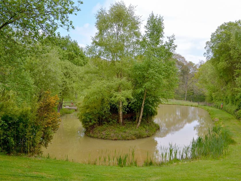 Fishing pond | Oakwood, Cheriton Bishop, near Dartmoor National Park