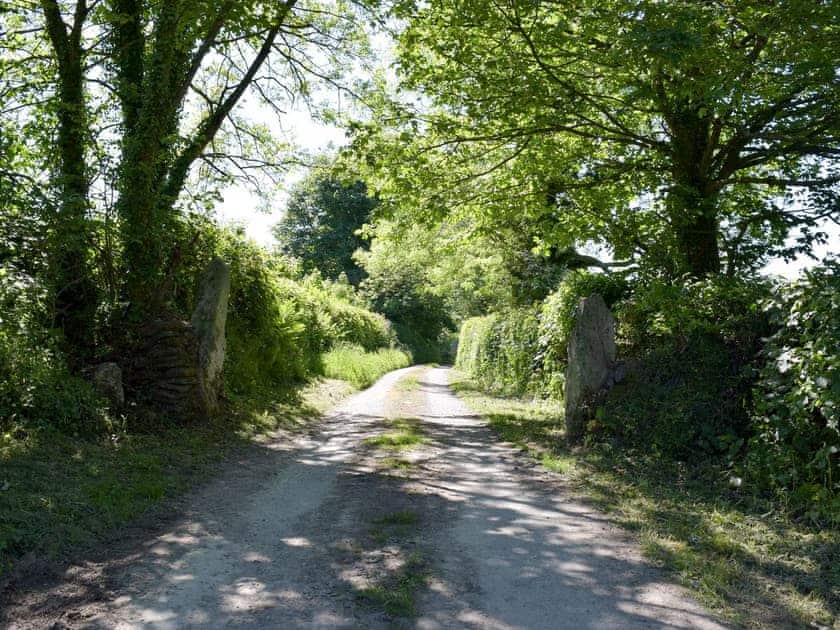 Lane to the property | Fountain Hill, Eglwyswrw, near Cardigan
