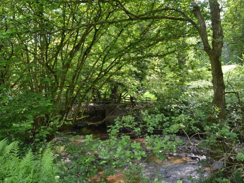 Surrounding area | Burrills View, Horderley, near Craven Arms