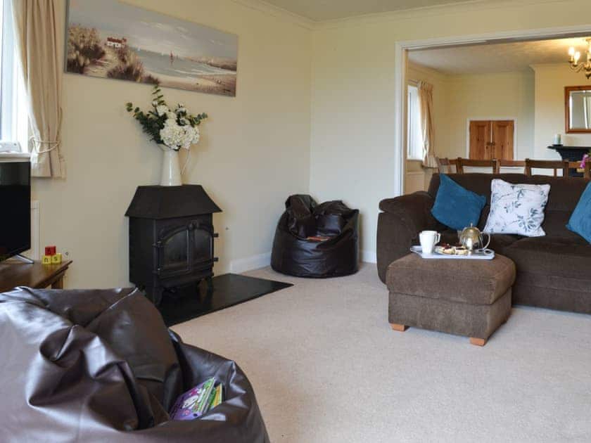 Living room with gas wood burner | Barwick, Exbourne, near Okehampton