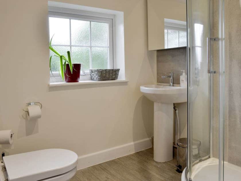 Spacious shower room | Ty Newydd y Graig, Tremeirchion, near St. Asaph