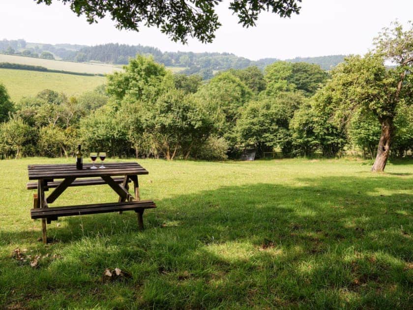 View from Orchard Field 3 mins walk | Burrills View, Horderley, near Craven Arms