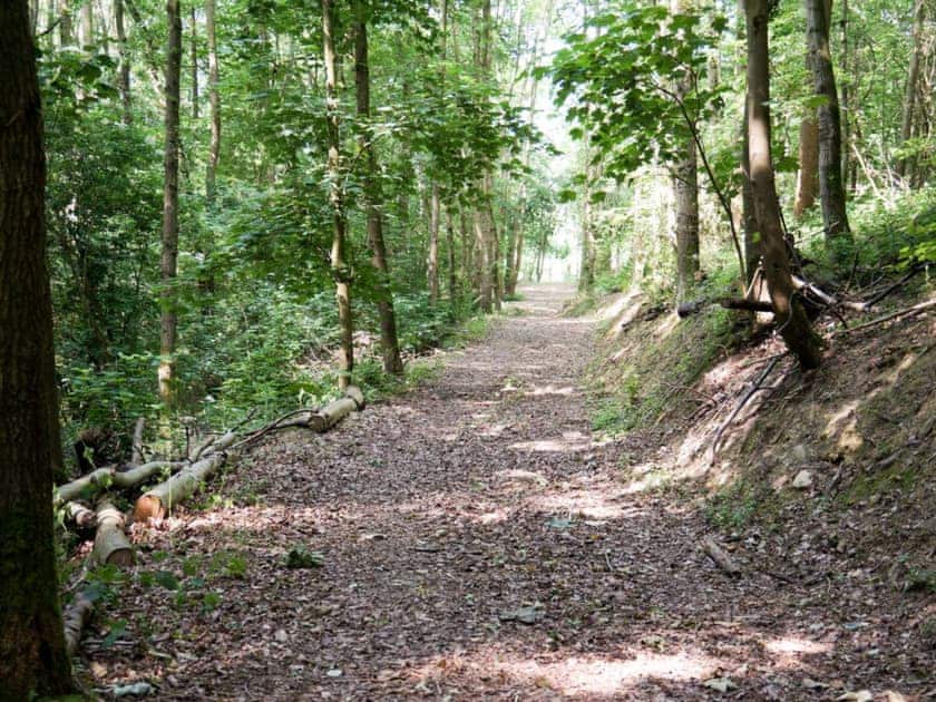 9 acres of woodland walks | Burrills View, Horderley, near Craven Arms