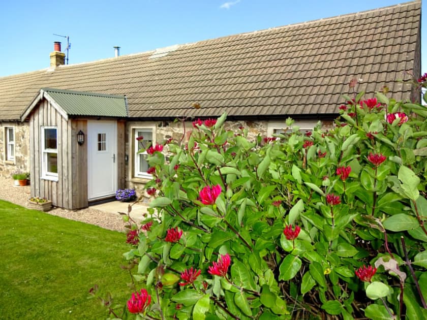 Delightful property | Charlie’s Cottage, Muasdale, near Campbeltown