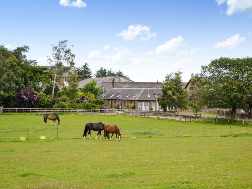 View | Apple Tree Cottage - Emmock Farm Cottages, Tealing, near Dundee