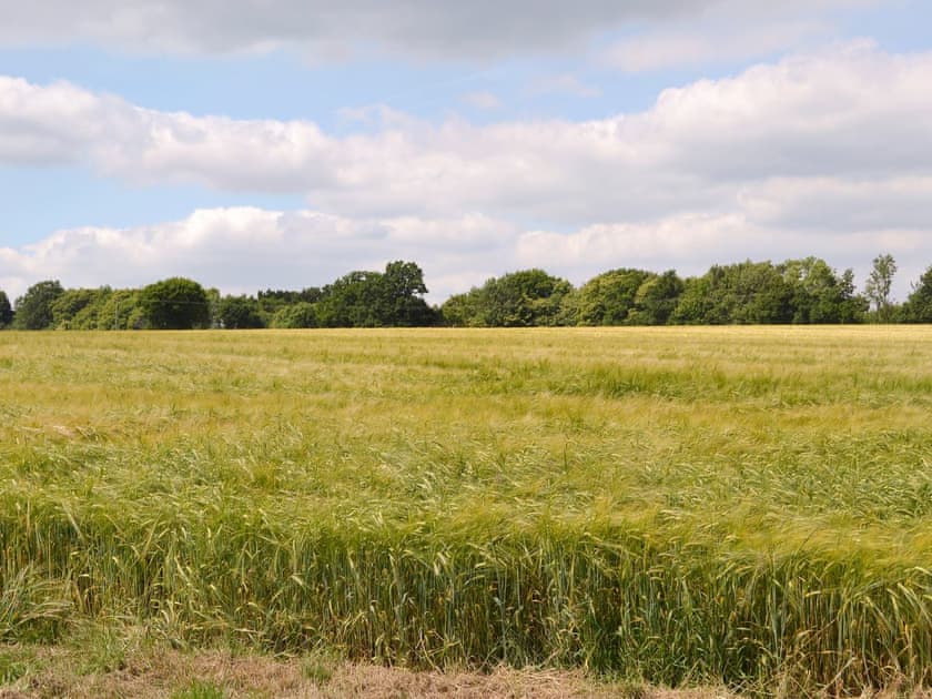 Surrounded by the owners farmland and orchards | Chessons FarmStable Cottage, Wadhurst, near Tunbridge Wells