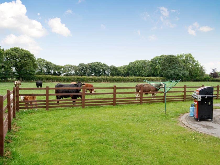Garden area with BBQ | Groes Faen-Bach Farmhouse, Babell near Holywell, Flintshire