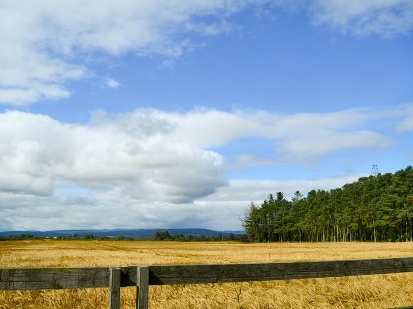 Lovely countryside views  | Barn Owl Cottage, Newton, near Tain
