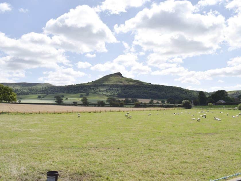 Outstanding rural views | The Byre, The Stable - Snow Hall Farm, Newton under Roseberry near Great Ayton