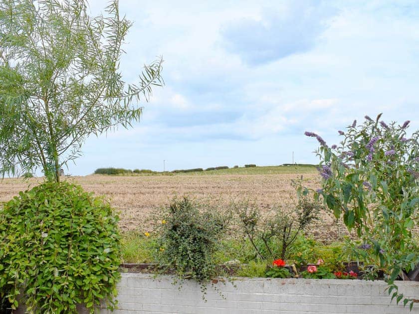 Beautiful meadow view from the rear of the property | The Miner’s Cottage, Loftus, near Saltburn-by-the-Sea