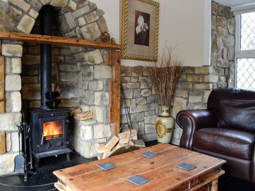 Cosy living room with wood burner | Minnow Cottage, Minnigaff, near Newton Stewart