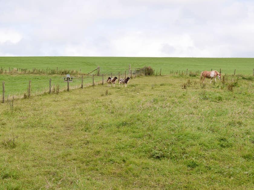 Surrounded by open countryside  | Bryneirin, Bwlchyfadfa, Talgarreg