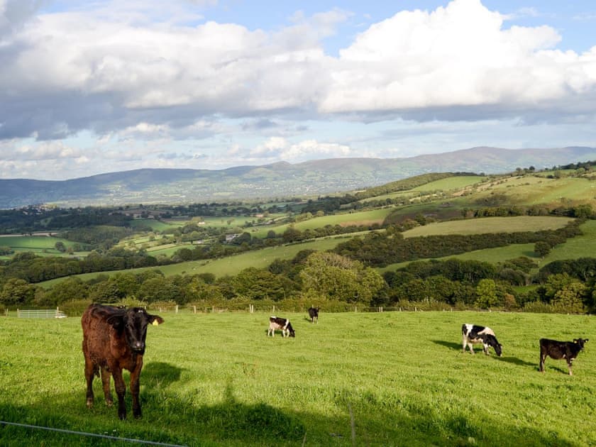 Wonderful countryside views | Bryn Boda, Nantglyn, near Denbigh