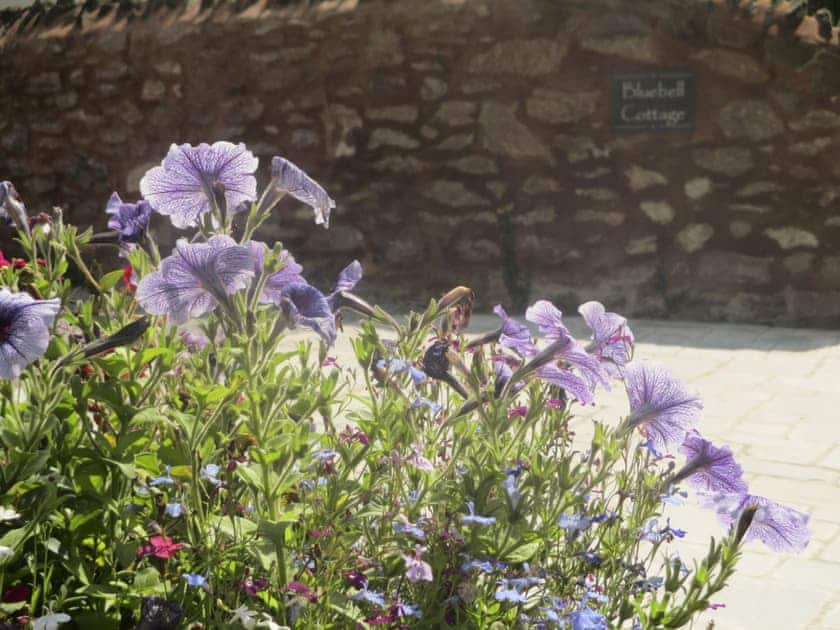 Well-maintained garden areas | Bluebell Cottage, Over Stowey, near Taunton
