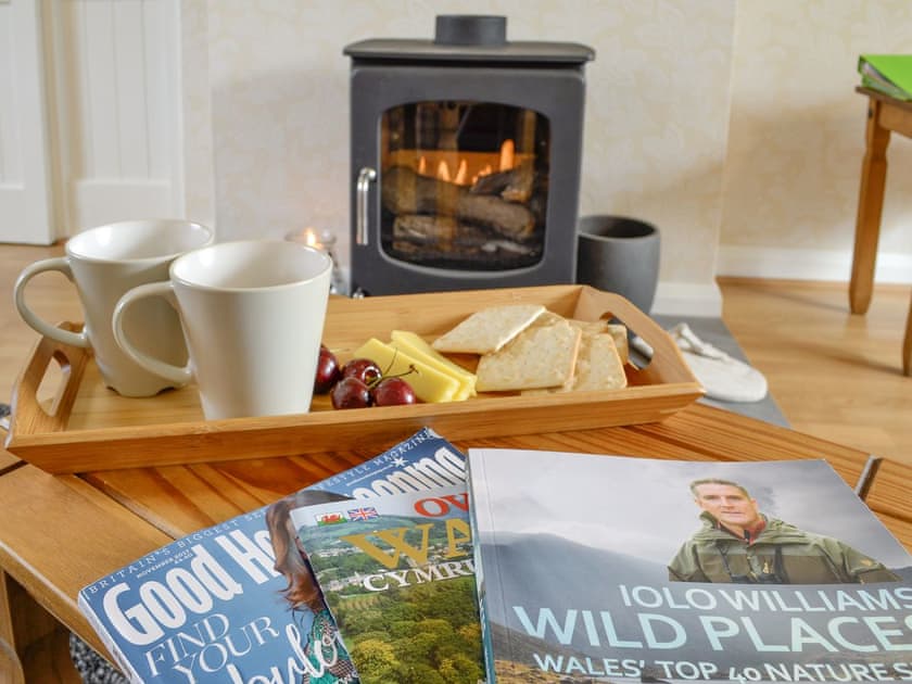 Warm and cosy bio-ethanol stove | Bryn Boda, Nantglyn, near Denbigh