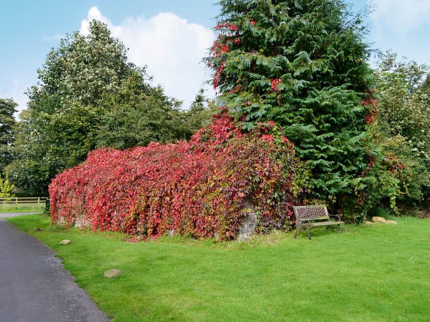 Garden | 1710 - The Seventeen Ten Cottages, Greenwell, near Brampton