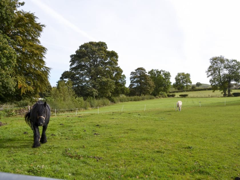 Beautiful countryside | Bridge End Farm, Frosterley