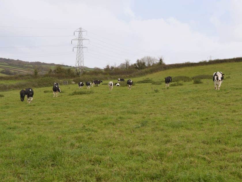Holiday homes are set on a working farm | Hay Rick, Milk Churn, Scrumpy Barn - Hayes Farm Mews, Luton, near Newton Abbot