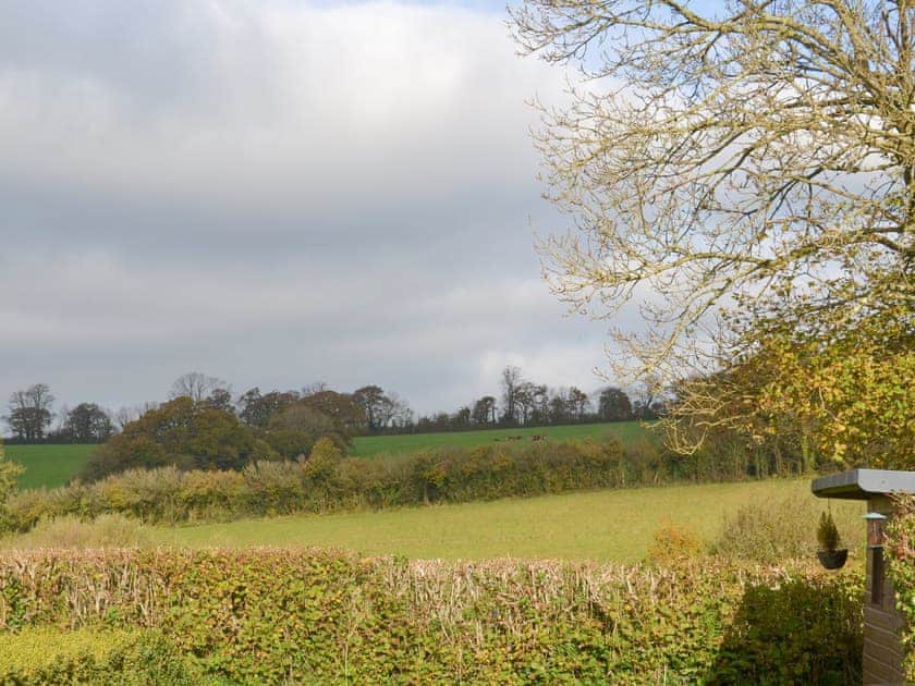 Lovely rural surroundings | Champernowe, Dartington, Totnes