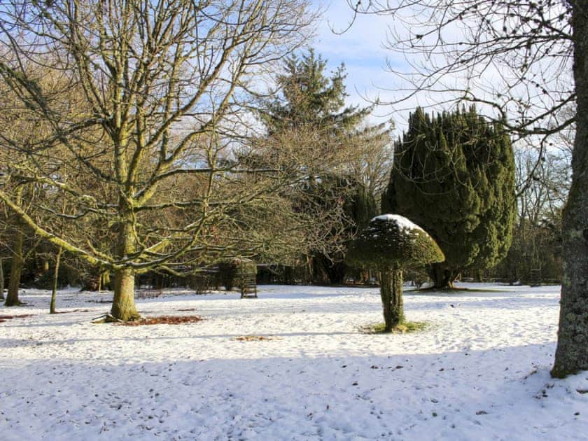 Wonderful 80-acre natural grounds in the winter | Gilmilnscroft Estate - Sorn, near Ayr