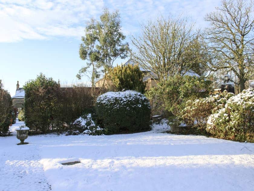 Wonderful 80-acre natural grounds in the winter | Gilmilnscroft Estate - Sorn, near Ayr