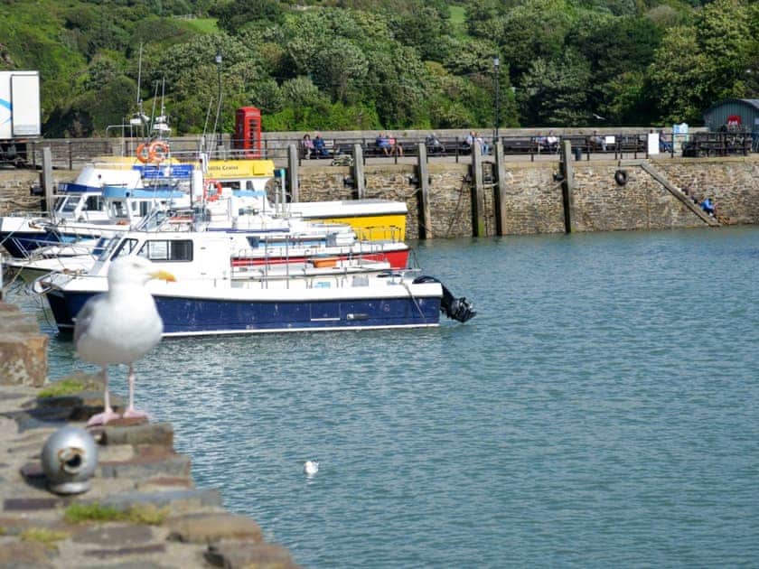 Harbour | Apartment 6, Ilfracombe