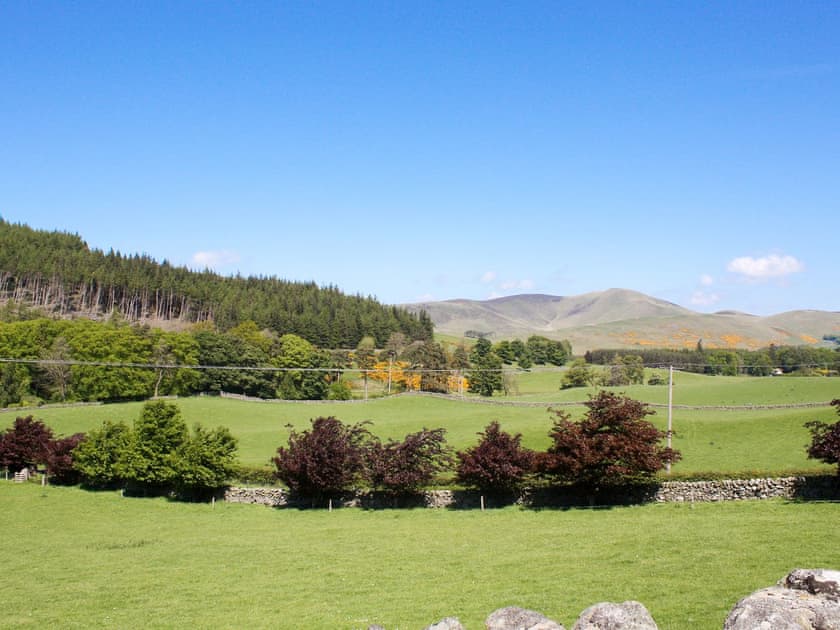 Stunning surrounding area | Nettlebush Cottage - Drumelzier Place Farm, Drumelzier, near Peebles