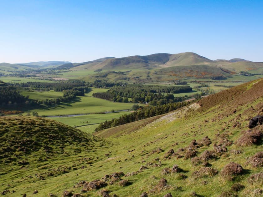 Stunning surrounding area | Nettlebush Cottage - Drumelzier Place Farm, Drumelzier, near Peebles
