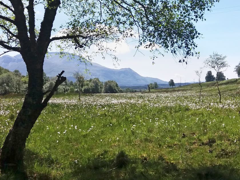 Beautiful surrounding area | Glas Doire Lodge, Glen Roy, near Fort William