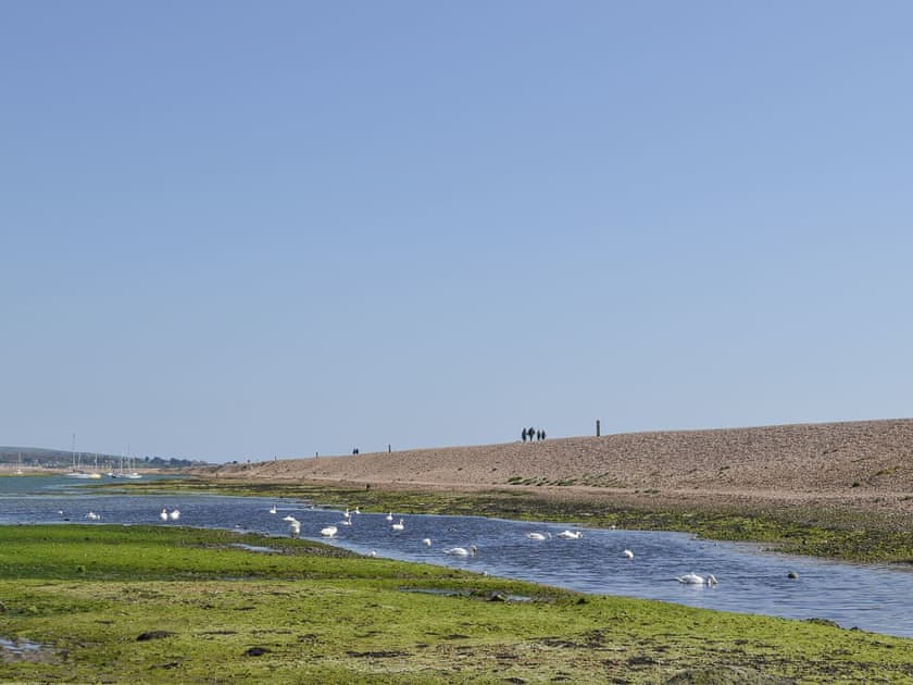 Surrounding area | Plover Cottage, Milford on Sea