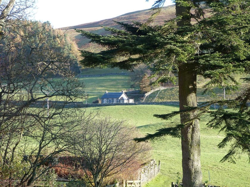 Lovely holiday property nestling in the open countryside | Nettlebush Cottage - Drumelzier Place Farm, Drumelzier, near Peebles