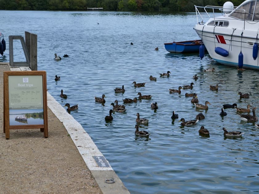 Surrounding area | Broad Cottage Boathouse, Ranworth, near Wroxham