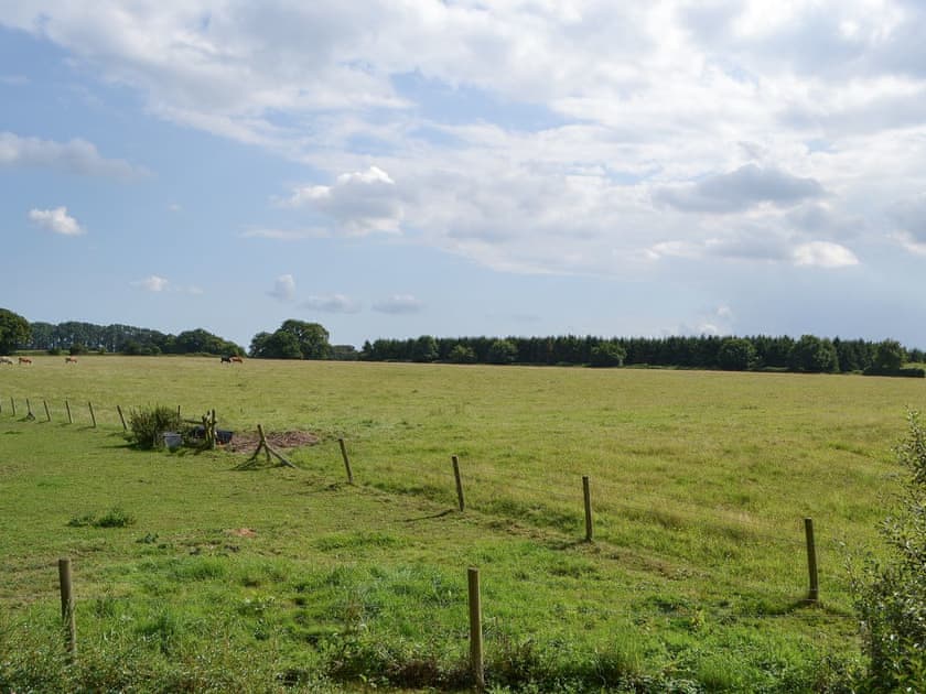 Surrounding area | Broad Cottage Boathouse, Ranworth, near Wroxham