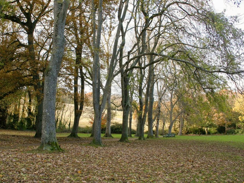 Wonderful parkland and grounds | Shanklin Manor, Shanklin