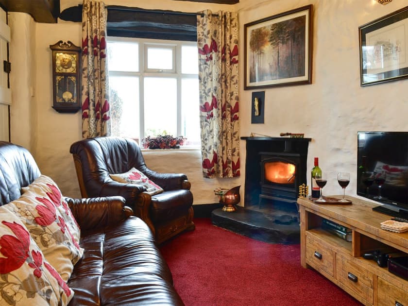 Cosy living room with wood burner | Colomendy Lodge, Corwen