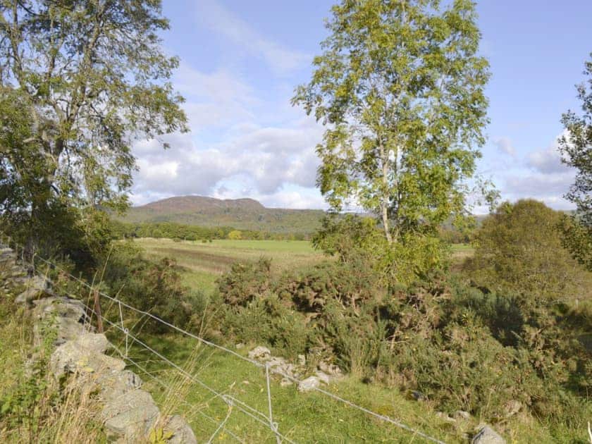 Dunkeld area countryside