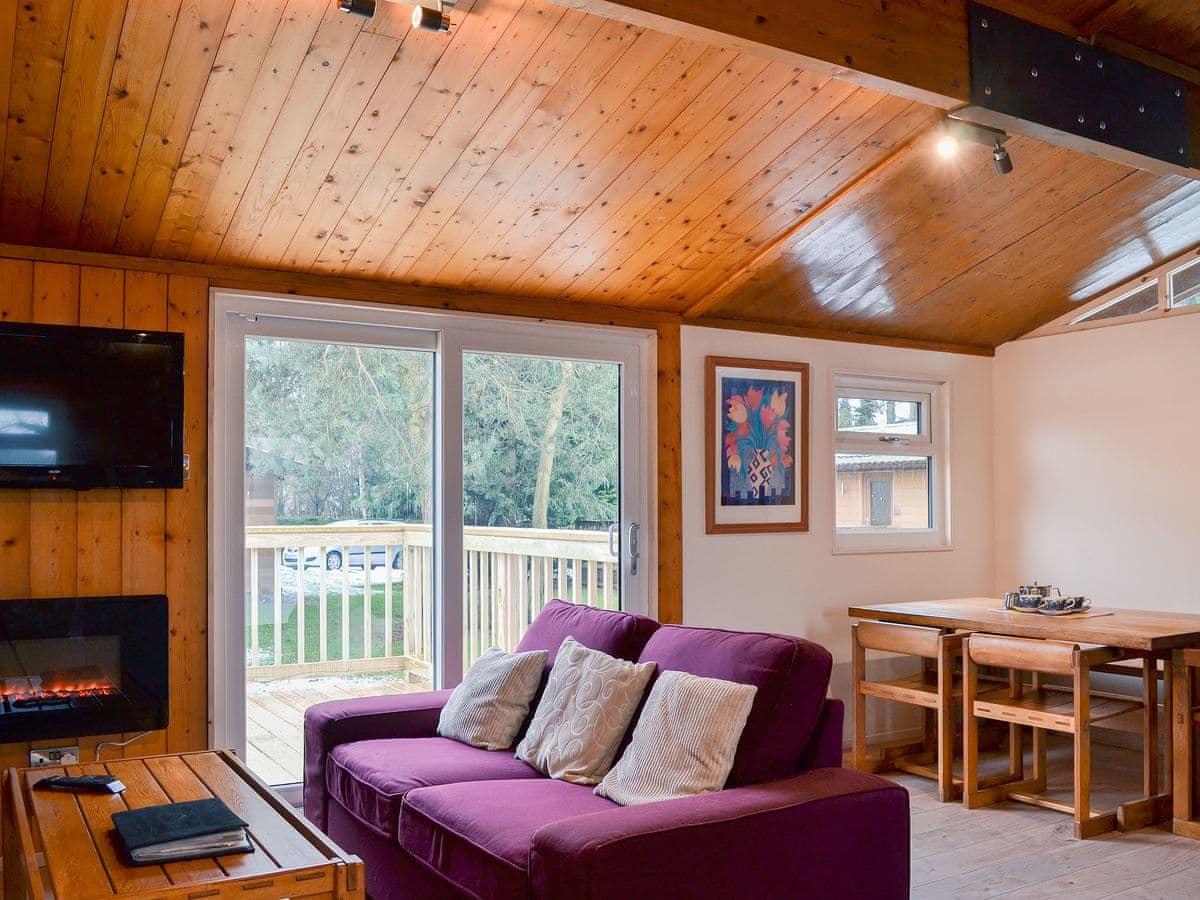 Cedar Lodge - Holiday lodge in Yorkshire - Image 1