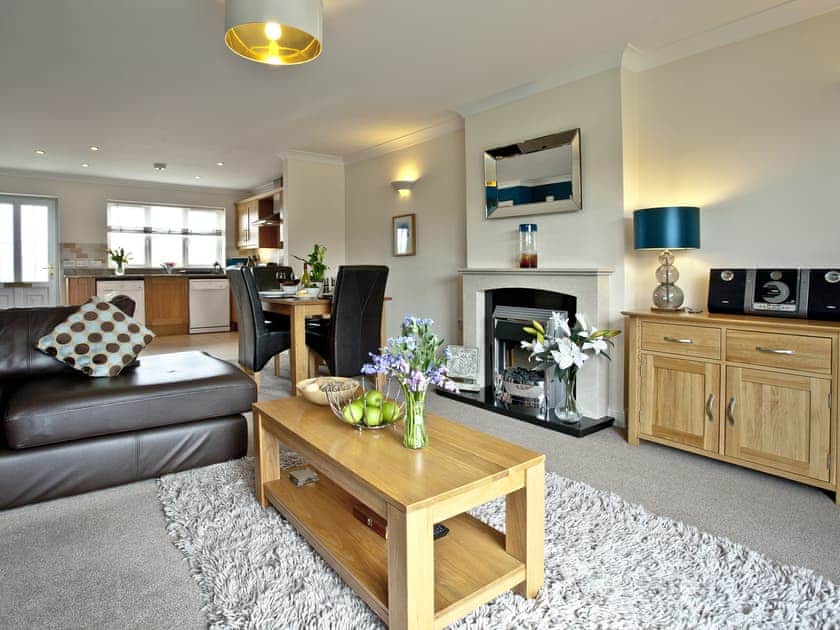 Open plan living space | Teasel Lodge - Lakeview Holiday Cottages, Bridgwater