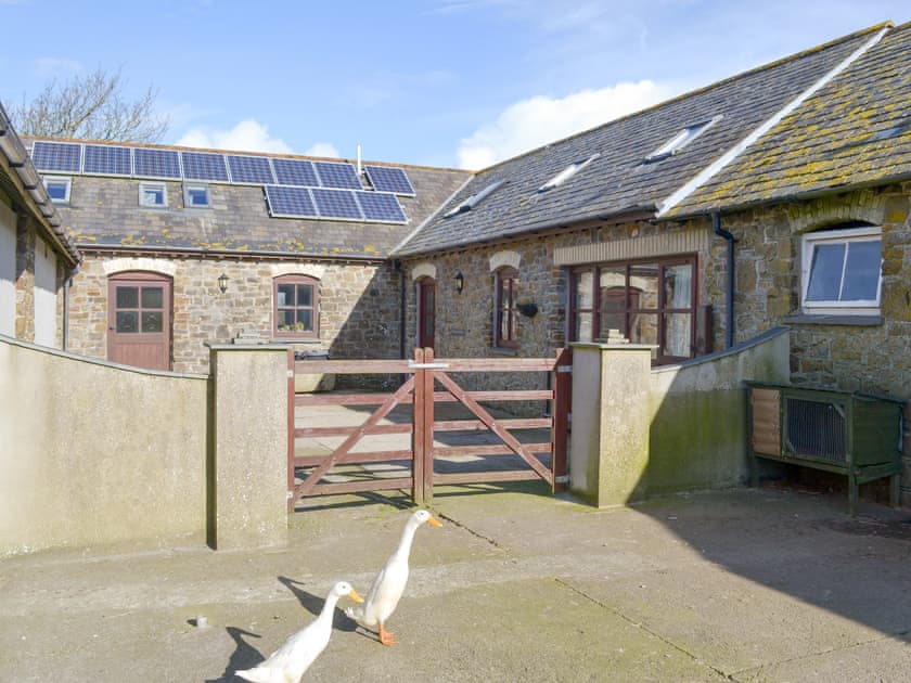 Family friendly farm location  | Goose Cottage - Quinceborough Farm, Widemouth Bay, near Bude