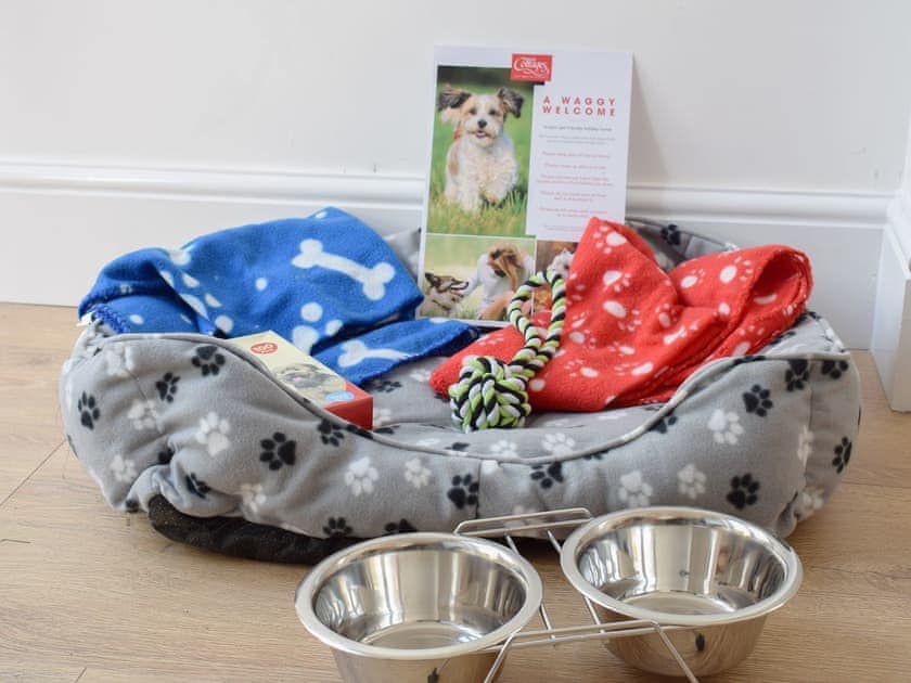 Pet welcome pack | Delfryn, Llanarth, near New Quay