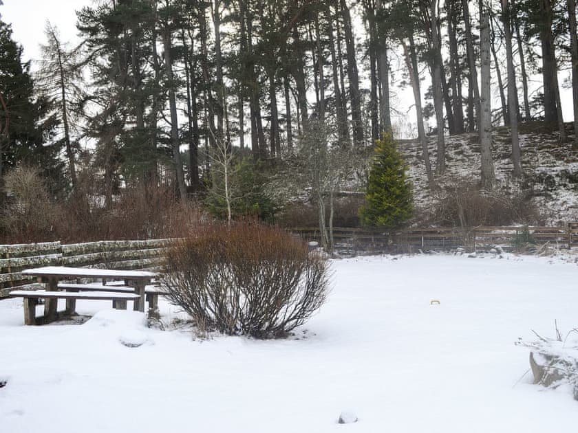 Garden in the winter | West End Cottage, Carrbridge, near Aviemore
